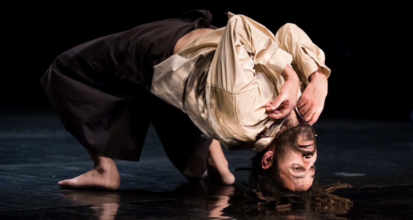 Thz artist aly khamees