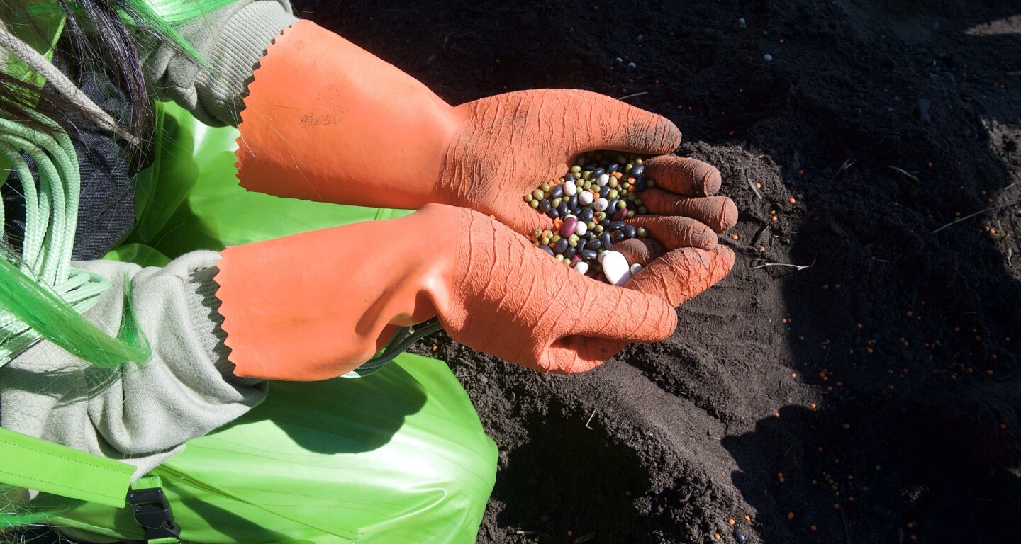 Thz moro ohrensehen 2