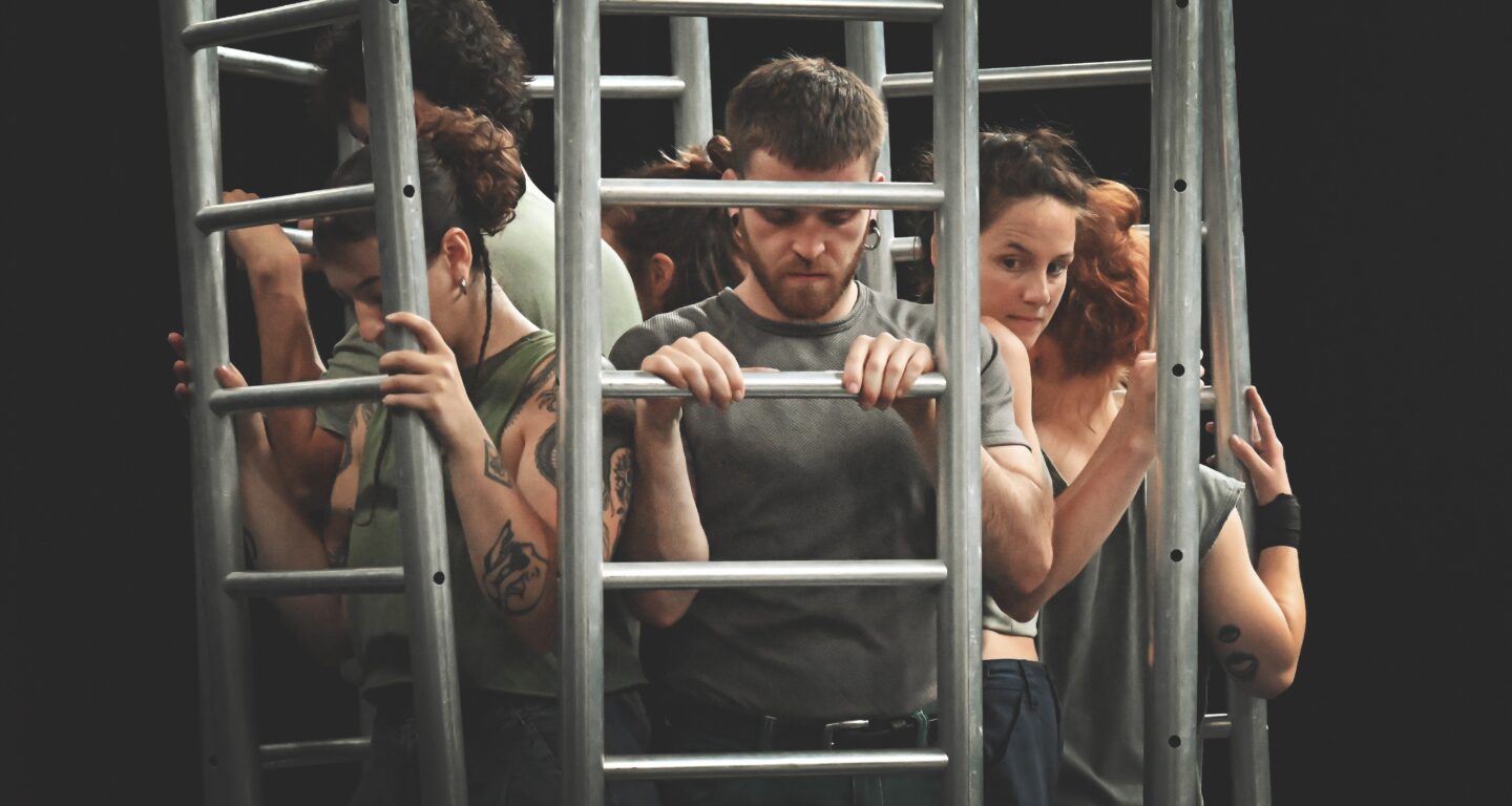 Thz Steps Beyond by Circumstances Jonas Vermeulen