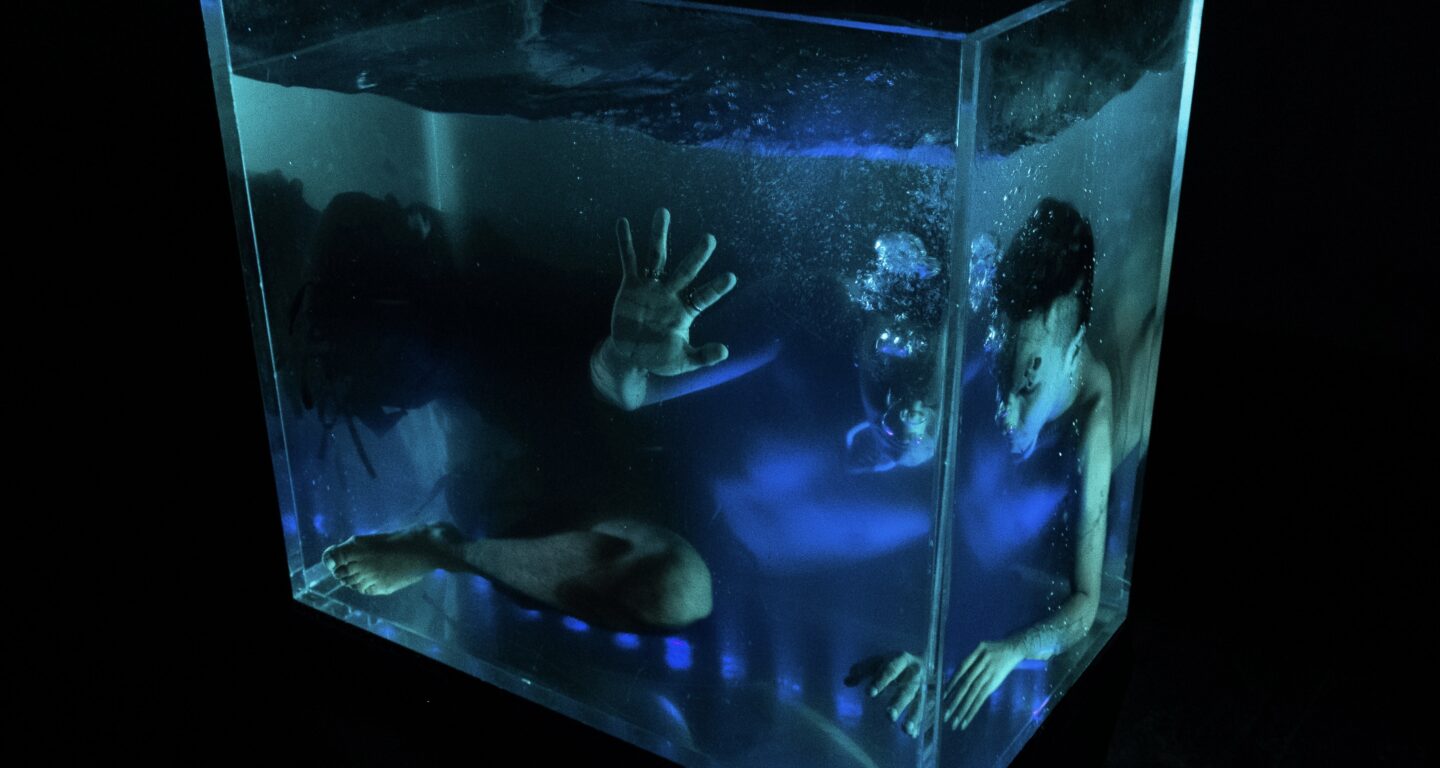 Thz wetdreams 3