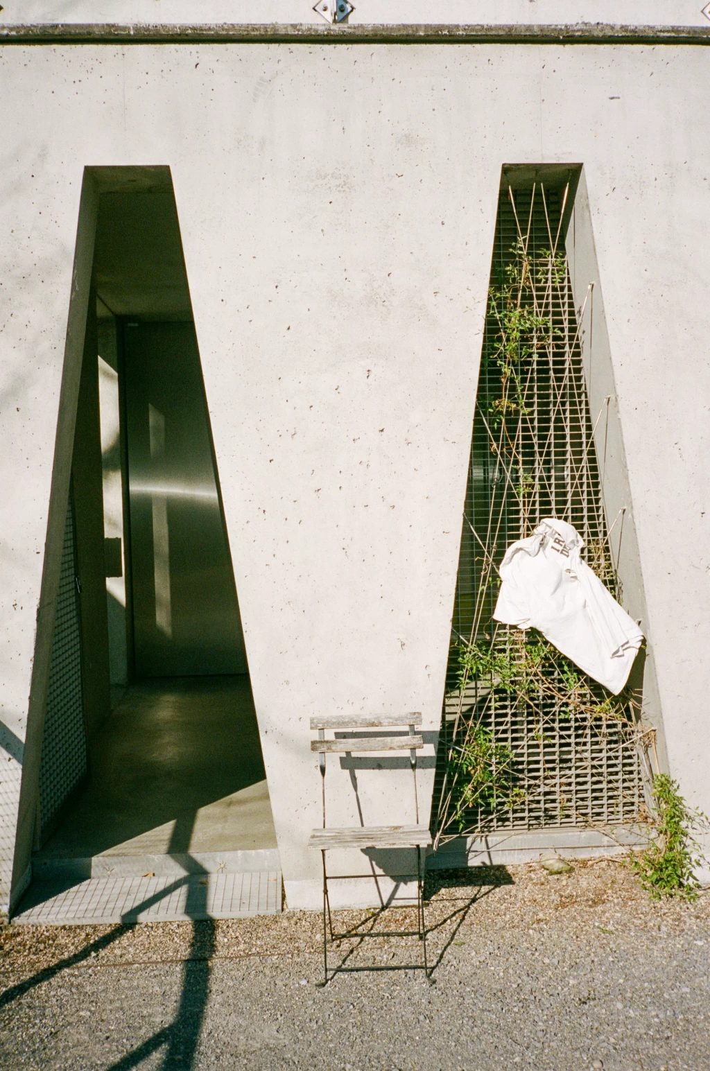 Fenster in trapezform mit Pflanzen bewachsen. Auf einer Pflanze hängt ein weisses T-Shirt im Sonnenschein.