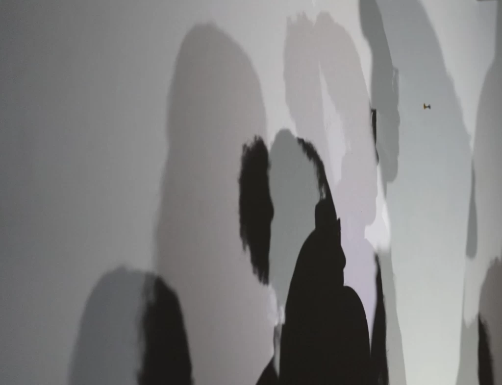 Mehrere übereinanderliegende Schattenumrisse von Personen (Kopf und Oberkörper) auf einer hellen Wand, unterschiedlich dunkel von hellgrau bis fast schwarz. Zwischen zwei Schatten ist eine kleine Schraube an der Wand sichtbar.